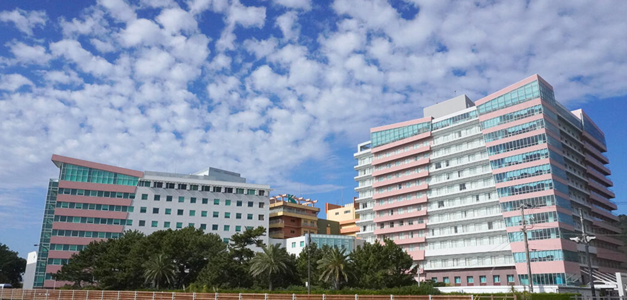 Kameda Medical Center · main campus